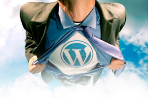WordPress Custom Websites