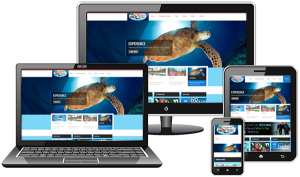 Responsive Website Design