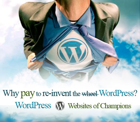 Leaps-to-the-Top-of-Search-Results-in-a-single-bound-WHY_REINVENT WordPress Custom Websites