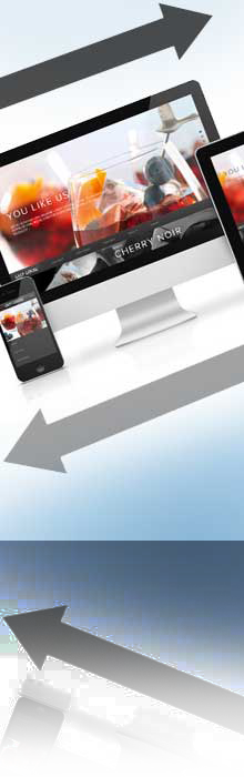 creativelifesense-responsive-website--reflect-220x700 Responsive Websites with WordPress